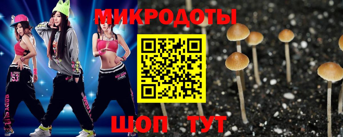 Псилоцибиновые грибы Magic Shrooms Дедовск